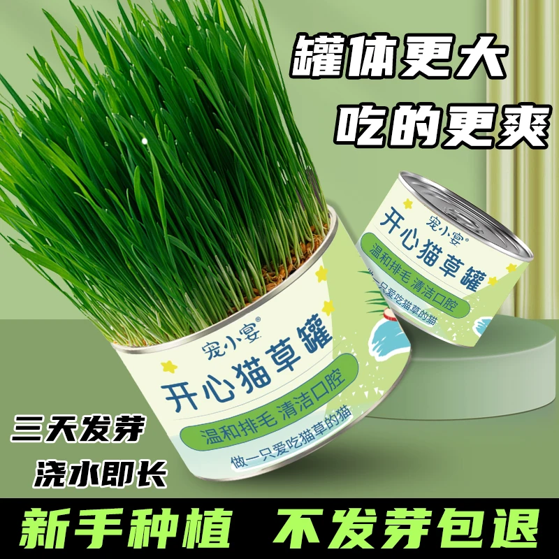 猫草罐头懒人水培盆栽泡面猫草棒片猫薄荷化毛膏猫咪排毛球产品