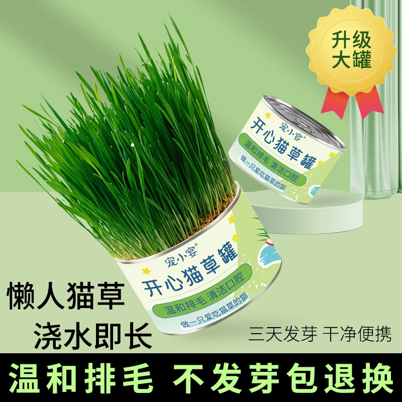 猫咪排毛猫草罐头懒人泡面猫草片粒棒冻干化毛膏原料水培盆栽种植