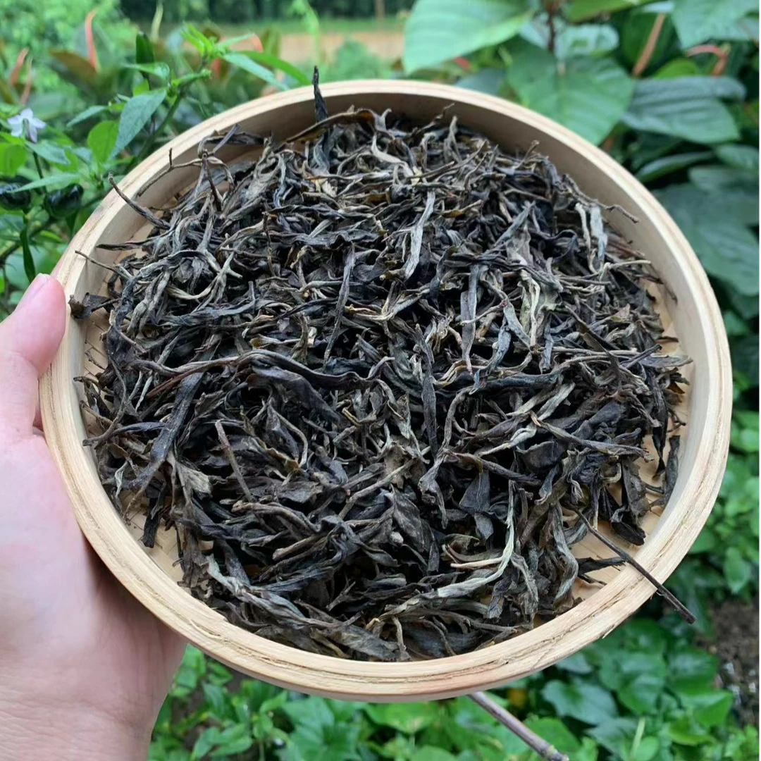 2024年古树春茶秘境农家自炒普洱茶散茶生茶