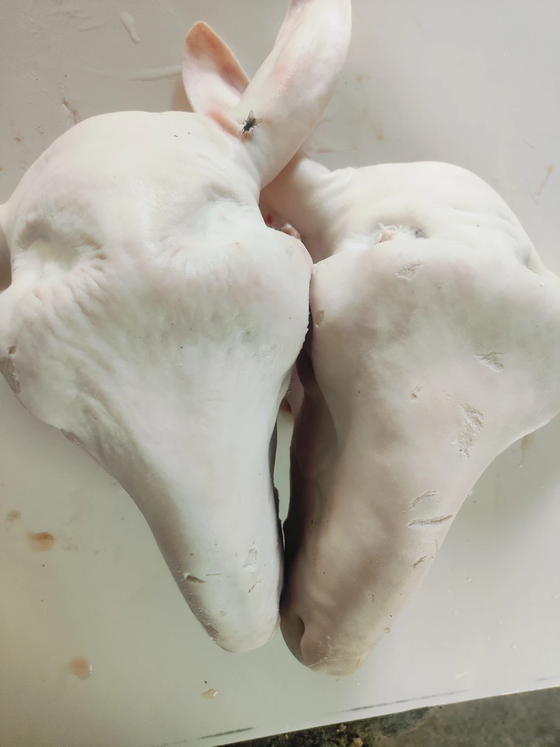 当天宰杀现分割桐乡食草新鲜湖羊头