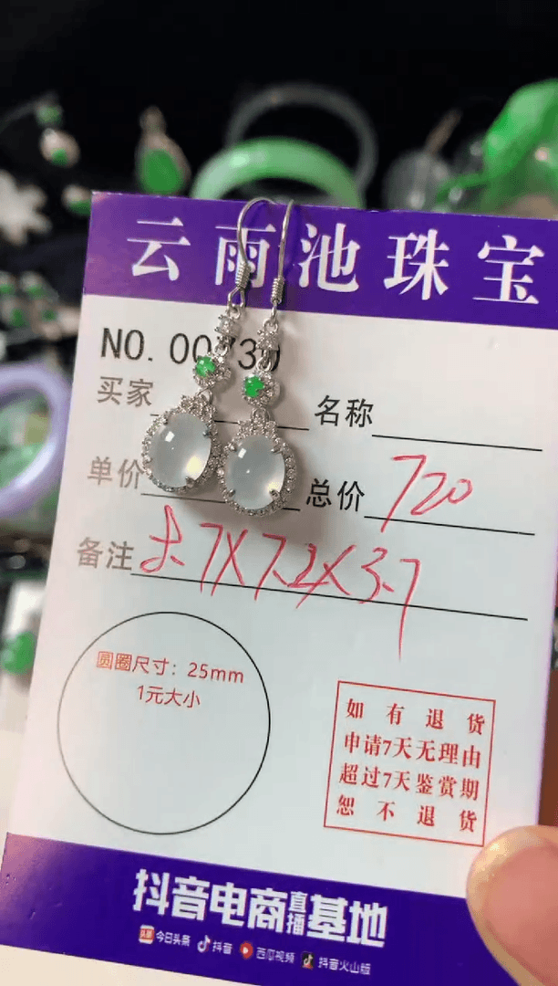 【闪购商品】翡翠耳饰银S925镶嵌翡翠