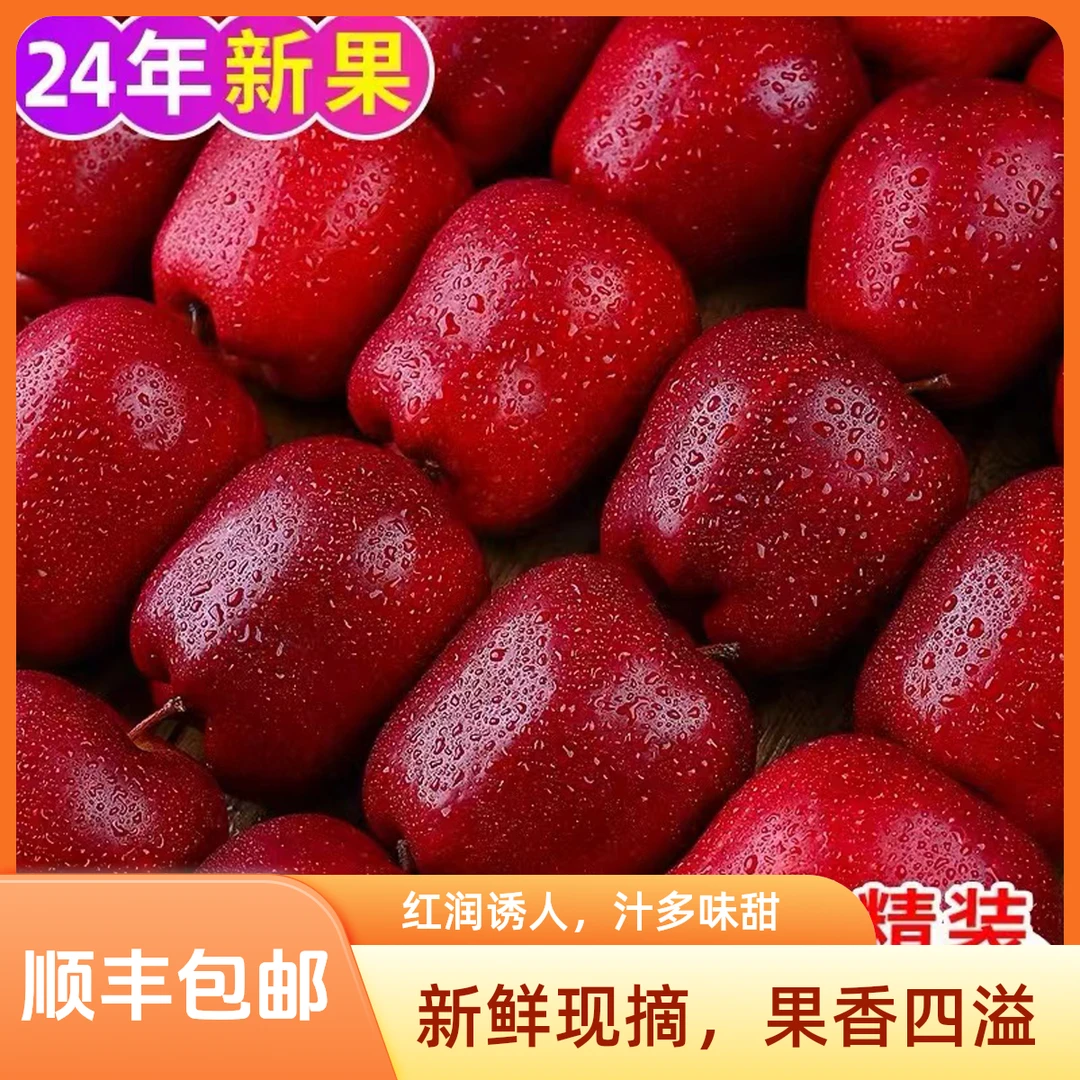 【顺丰包邮】甘肃天水花牛苹果蛇果脆粉两吃新鲜采摘新鲜水果平安果