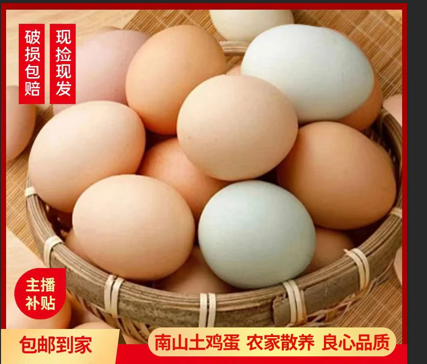 散养土鸡蛋农家初生草鸡蛋新鲜山里营养绿壳土鸡蛋10枚包邮