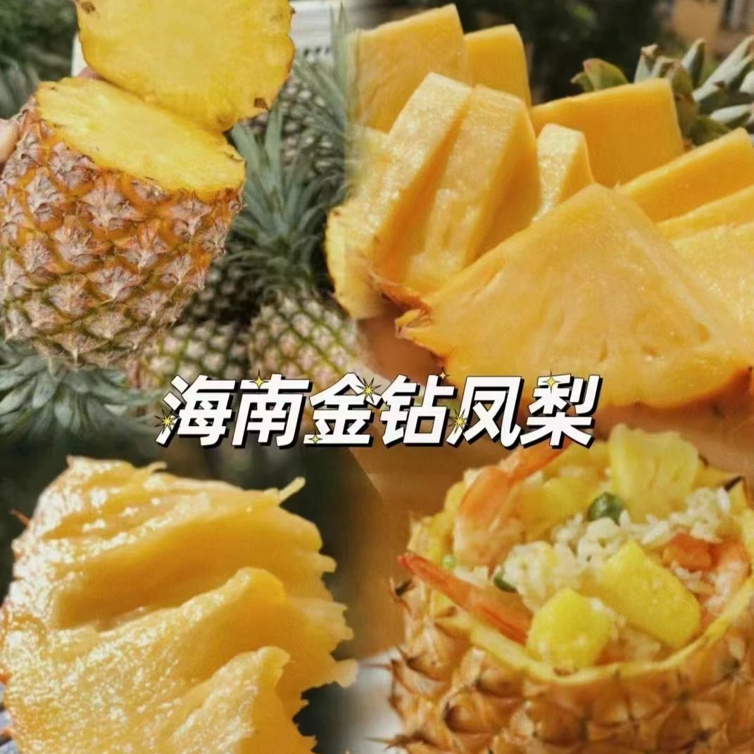 【吃货家优选】海南水蜜桃凤梨一箱净重4.2斤