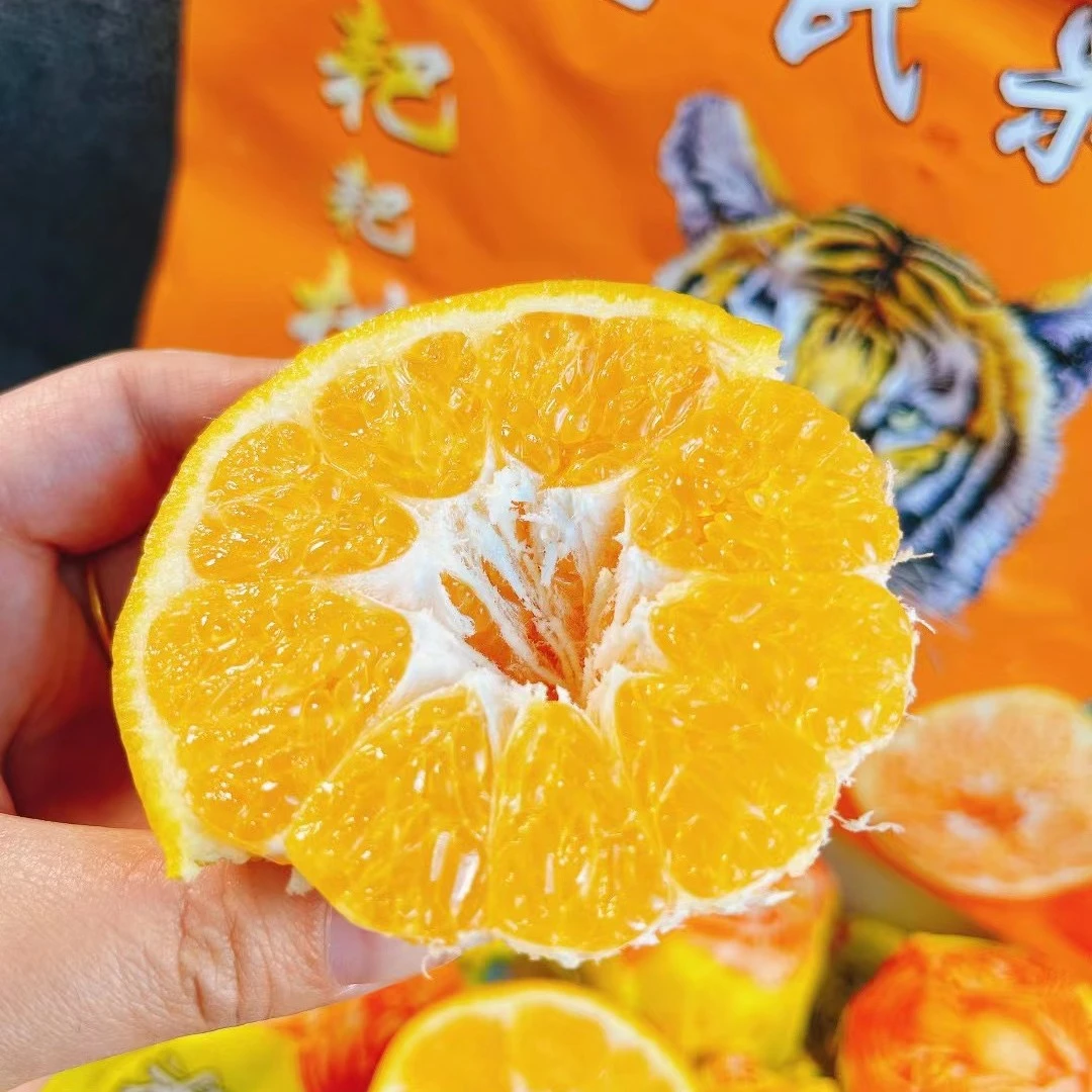 【吃货家优选】四川李氏春见耙耙柑丑橘一箱毛重8斤