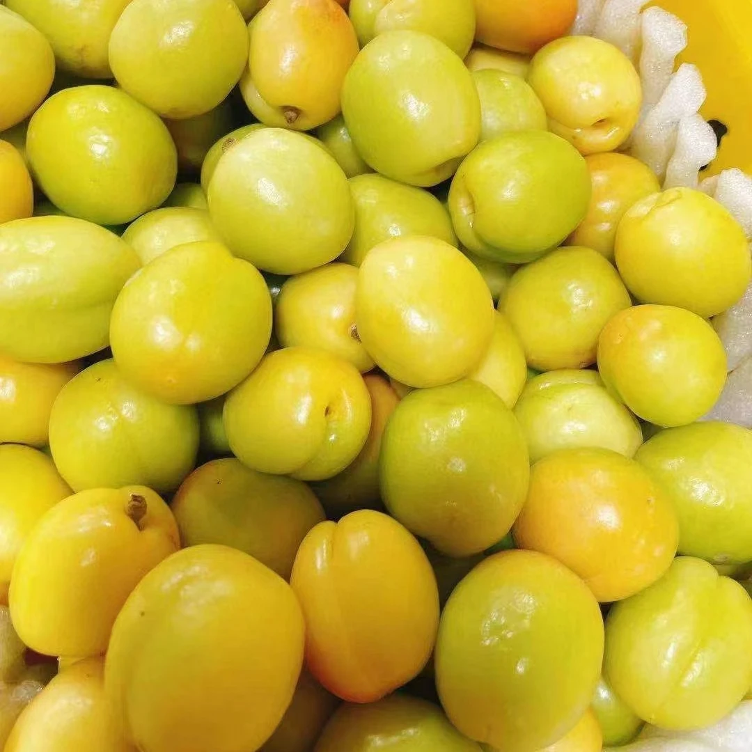 【吃货家优选】新疆小白杏一箱净重2斤