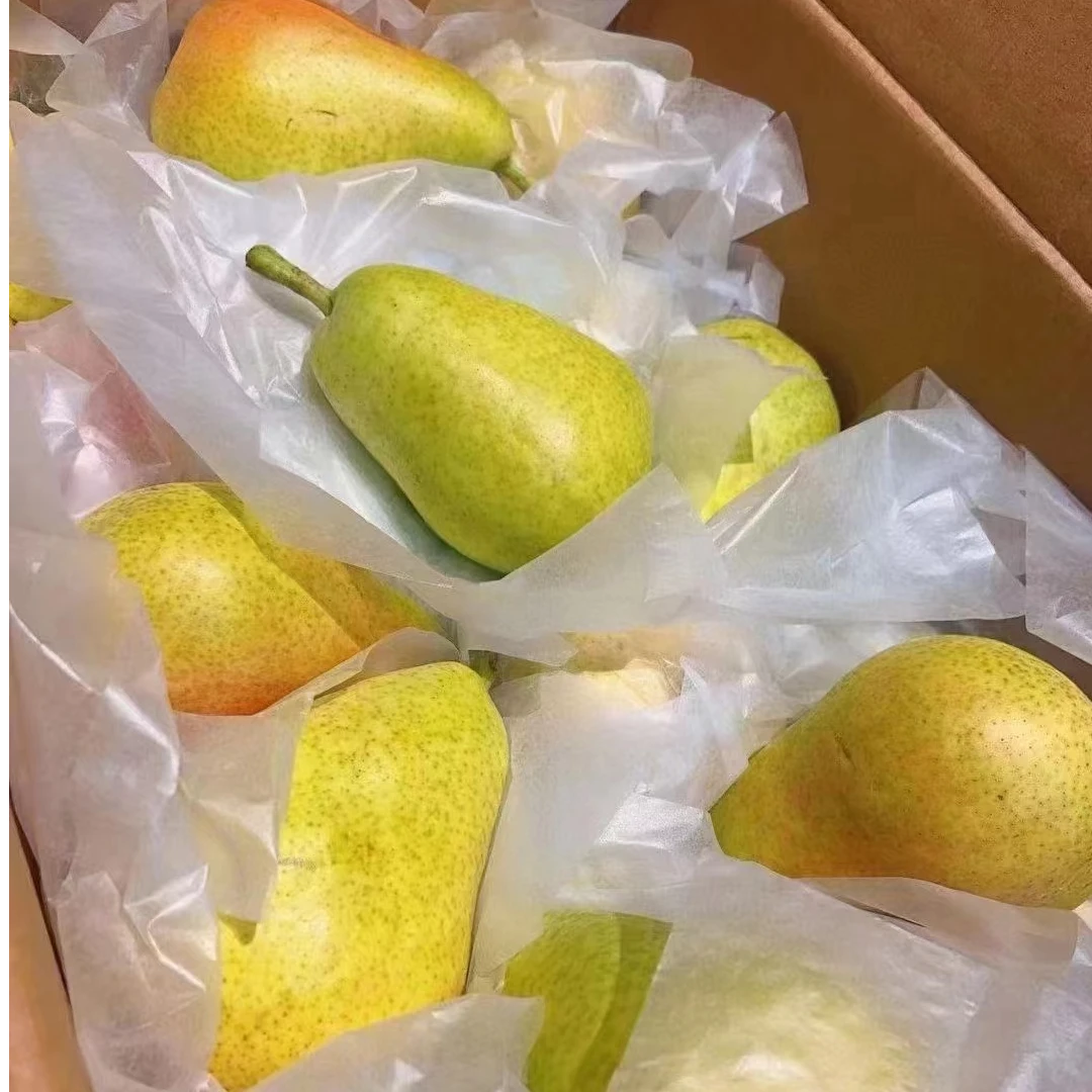 【吃货家优选】茄梨一箱净重9斤（长春市内包邮）