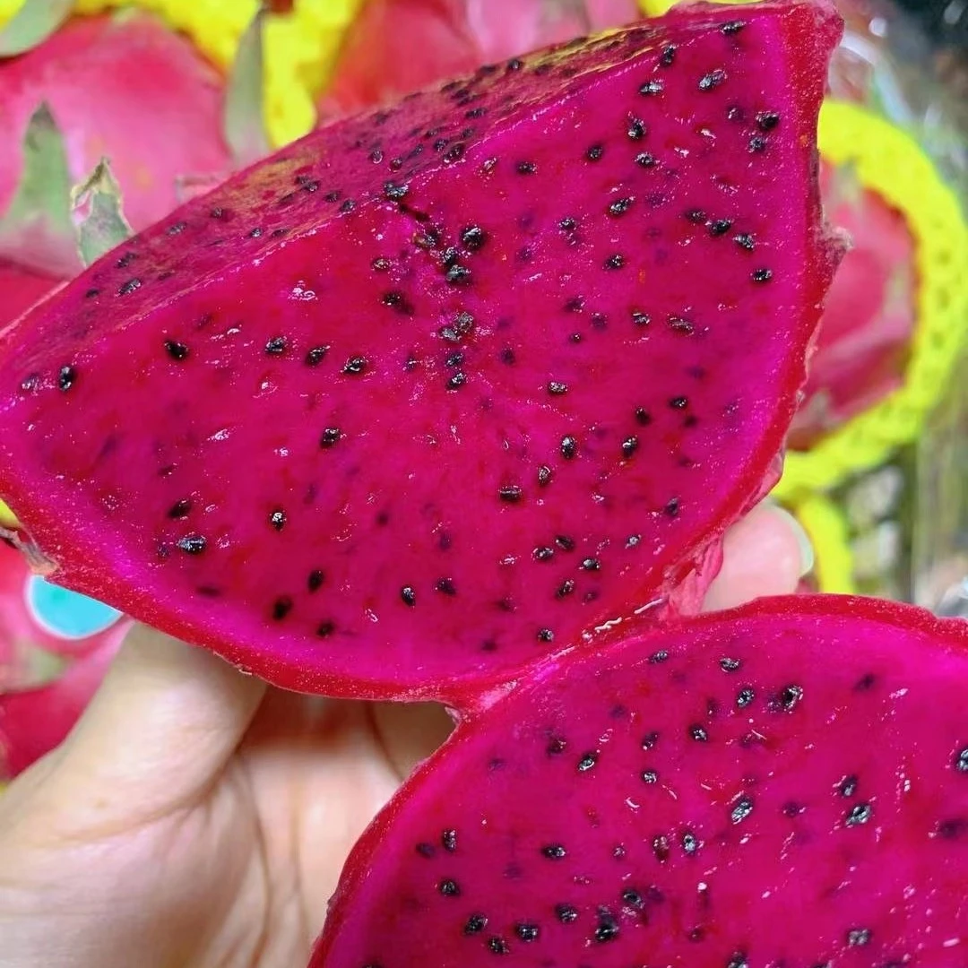 【吃货家优选】红心火龙果一份5~10个