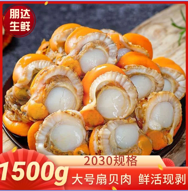 【朋达】无冰衣 2030 规格扇贝肉速冻新鲜去壳全贝无沙扇贝鲜活现剥