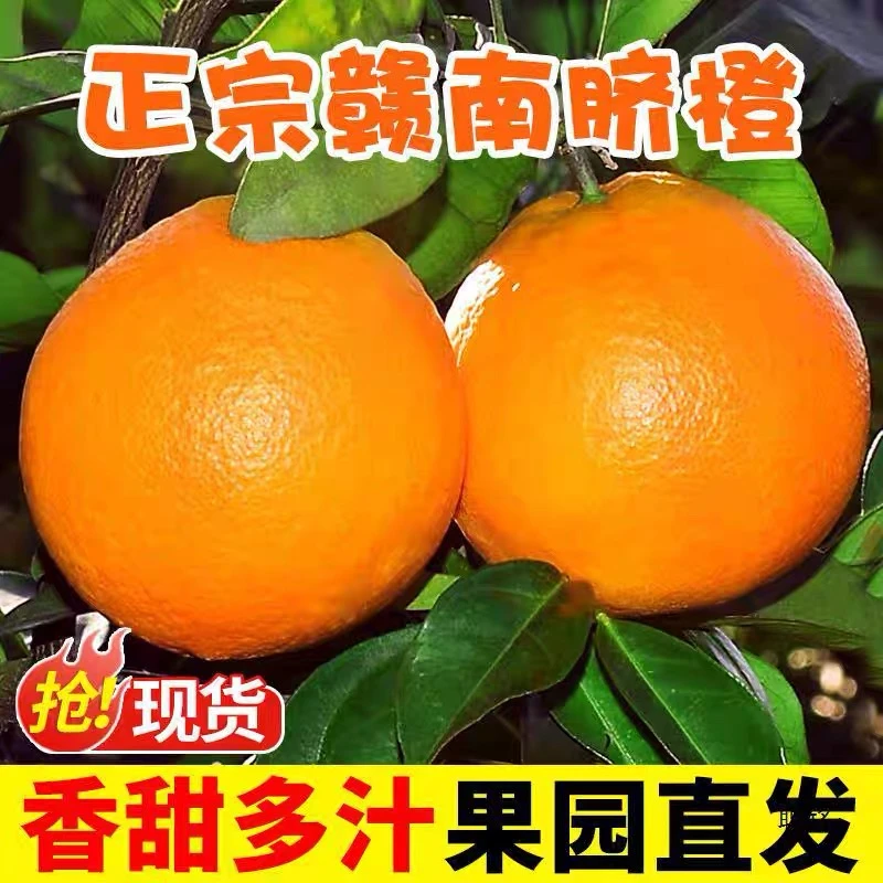 【达人专属】江西赣南脐橙新鲜应季水果产地直发