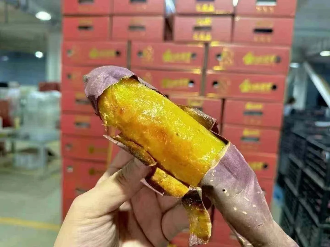 金板蜜芋5斤超级好吃