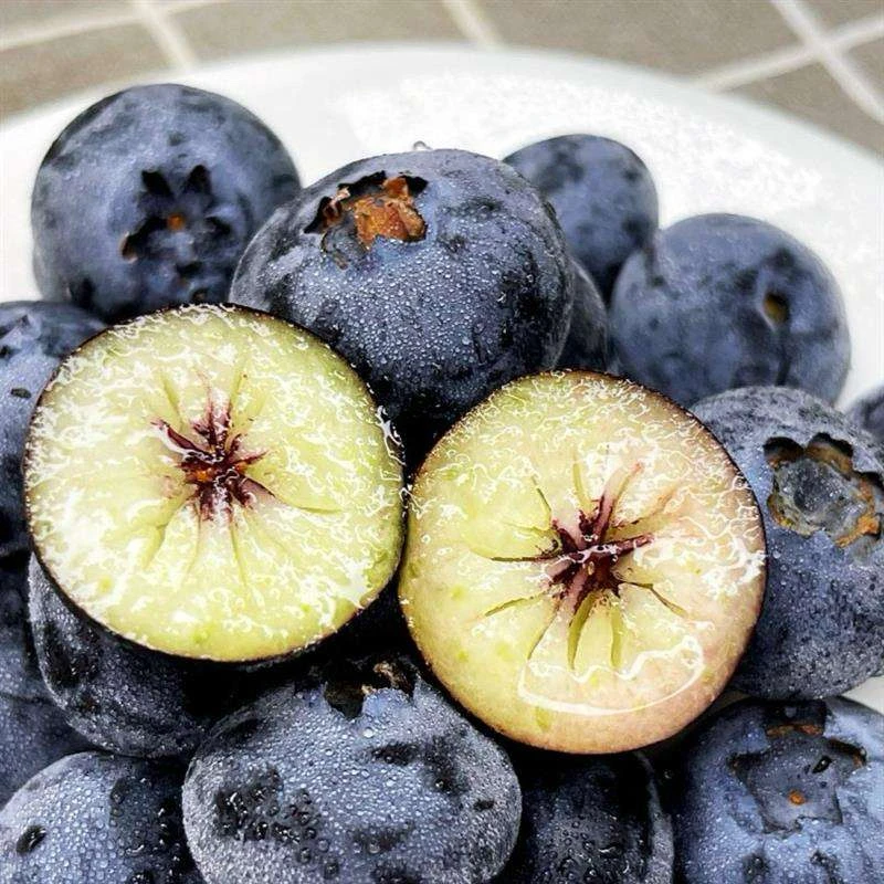 云南蓝莓中果125克每盒酸甜果径15mm云南省