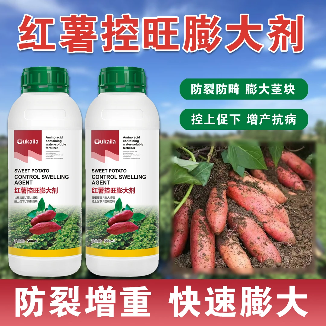 红薯控旺膨大素红薯专用肥地瓜增产增甜防裂万斤王
