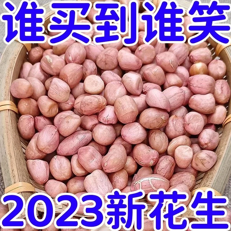 【疯抢中】23年新鲜现剥新花生米精选大粒粉皮新鲜榨油花生米便宜