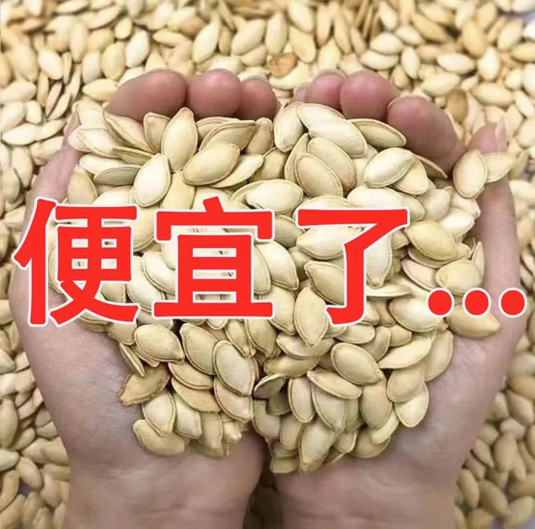 【今日特价】南瓜子原味炒熟椒盐特大颗粒南瓜籽散装零食批发