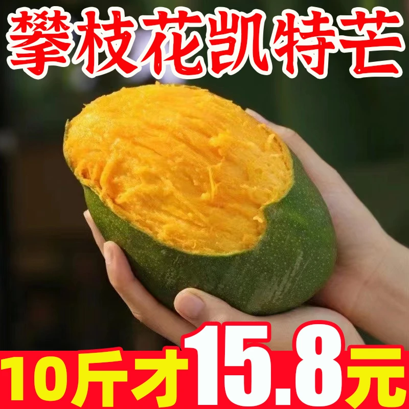 四川攀枝花凯特芒果整箱应当季新鲜水果特大青皮芒果凯特芒包邮