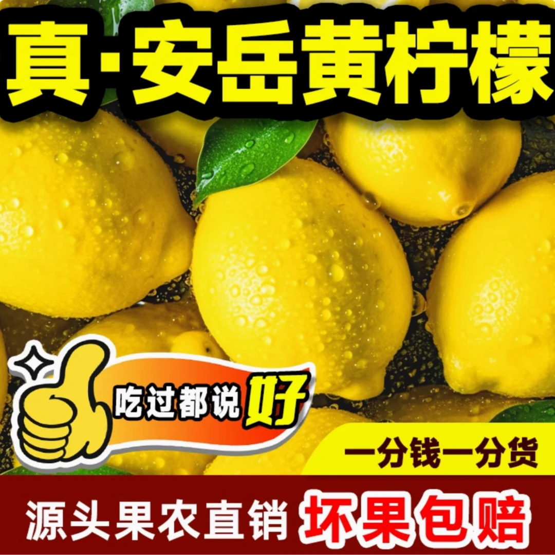 正宗安岳黄柠檬8-10个 单果90g左右皮薄多汁采摘冲泡果园果香酸甜