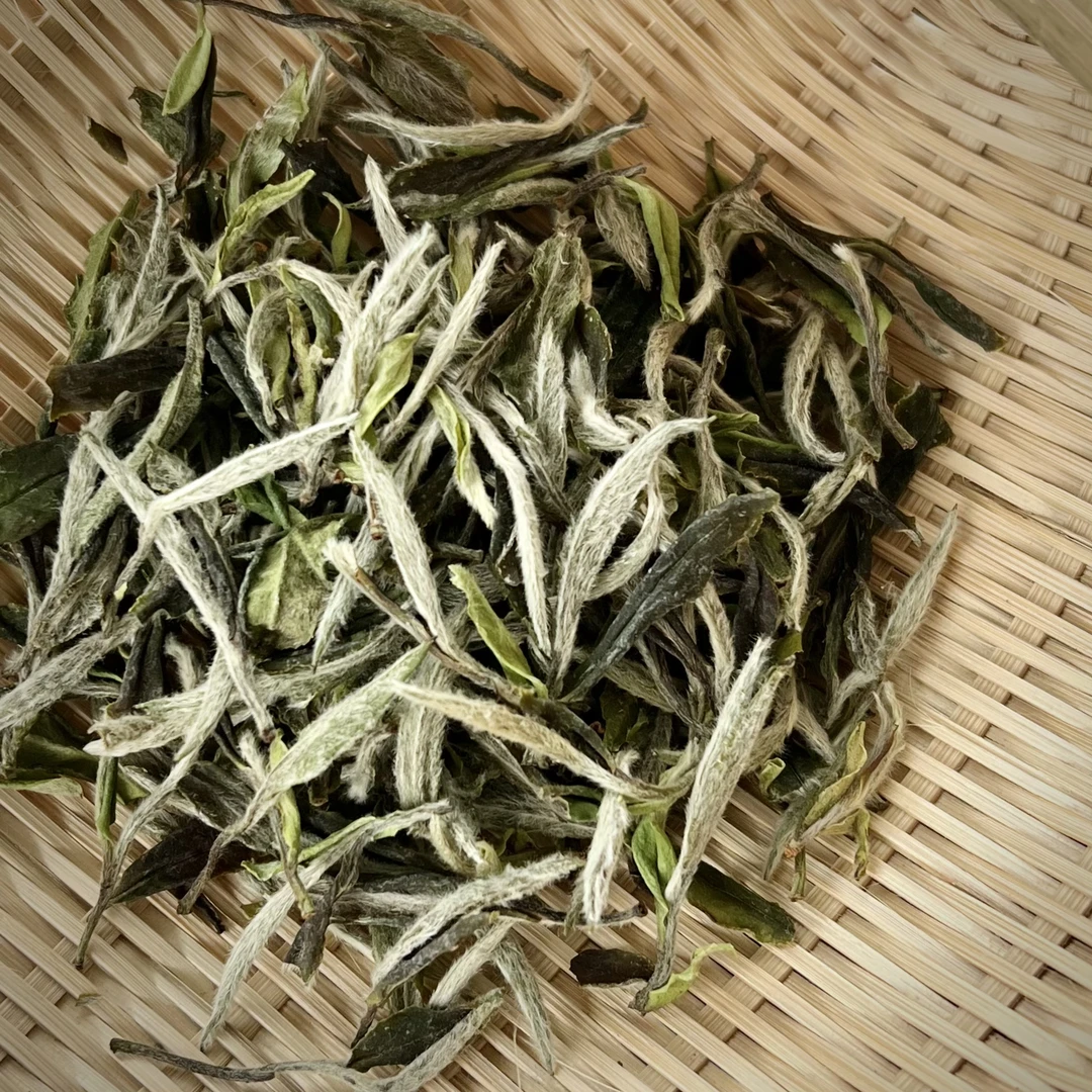 【25年放荒一级牡丹】2号基地 大洋山 福鼎白茶