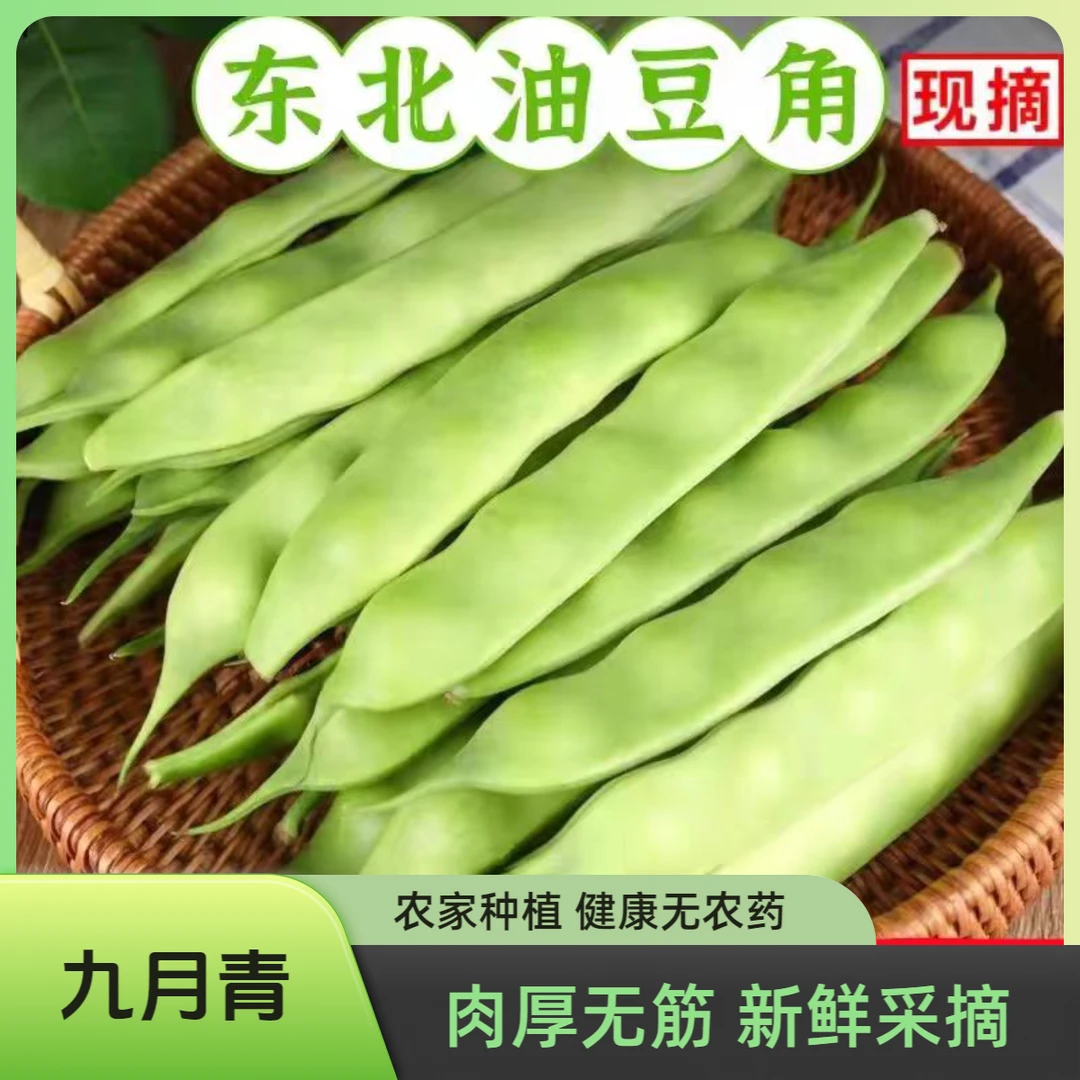 精选东北农家油豆角健康自然无农药新鲜采摘鲜嫩营养无筋大小均匀