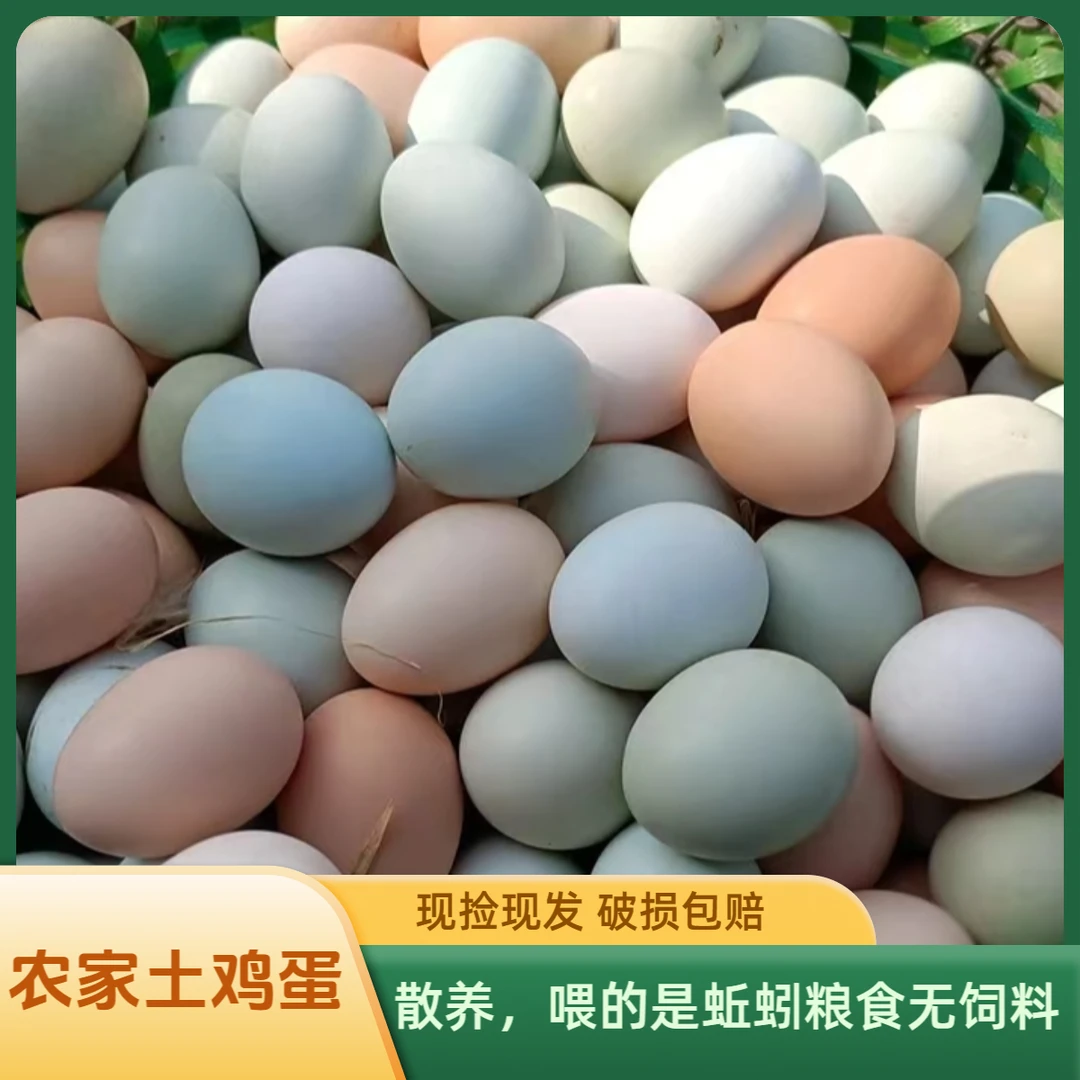 农家笨鸡蛋当日新鲜土鸡蛋营养健康农场优质粮食喂养新鲜农家优质