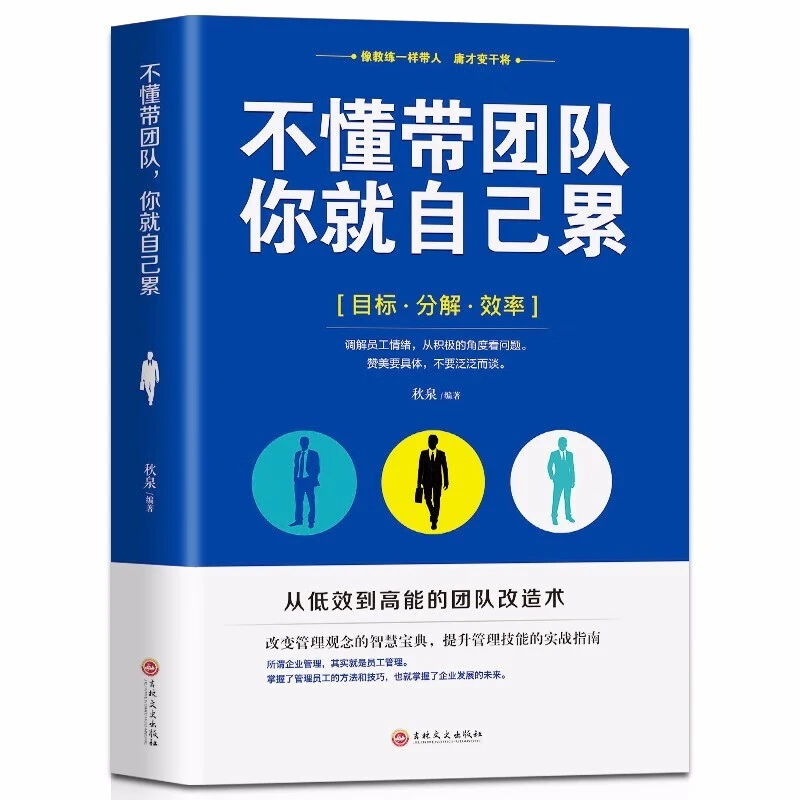 不懂带团队你就自己累 带团队管理企业管理书籍
