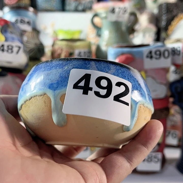 红陶20CM（含）-50CM（不含）