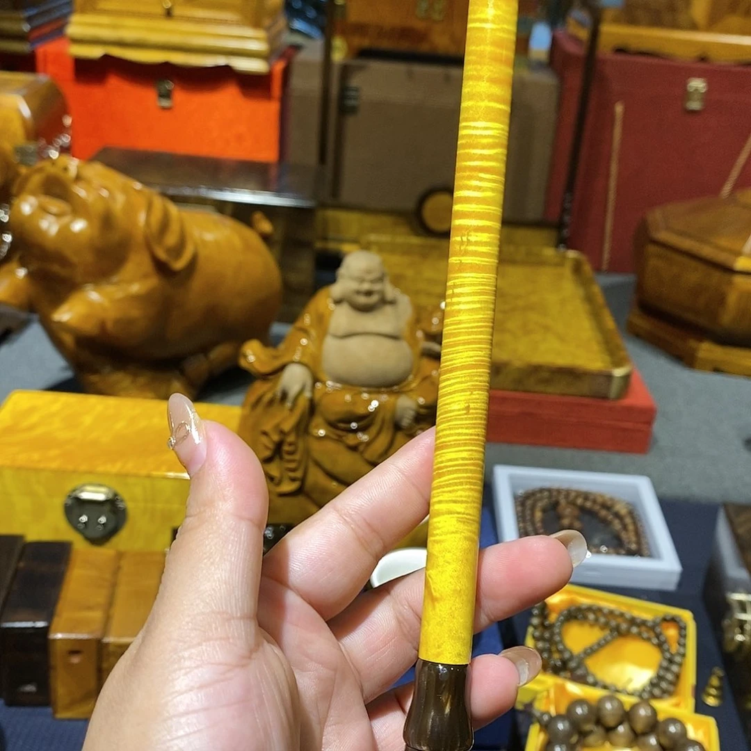 楠木11111111111111