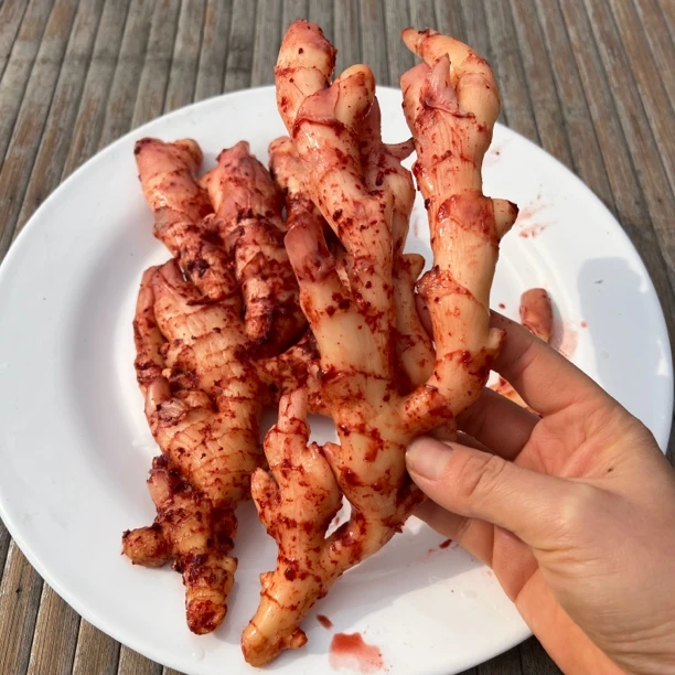 温州泰顺农家腌制酒糟姜1000克（今年嫩姜）