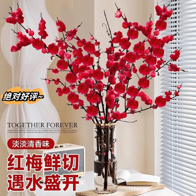 水培干枝红梅梅花遇水开花桃花花苞室内耐寒冬季好养新年年宵花卉