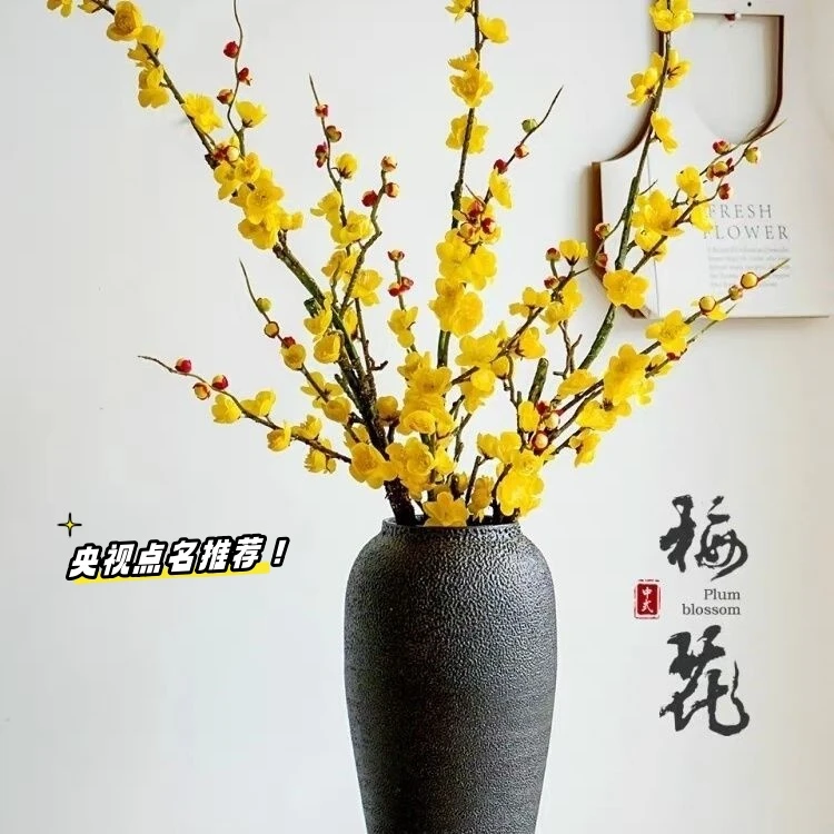 腊梅枝腊梅花树盆栽腊梅鲜花带花苞干枝腊梅枝条遇水开鲜切花水养