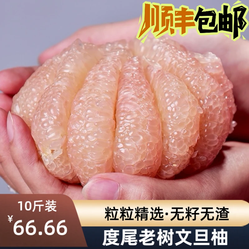 「顺丰包邮」尝鲜装度尾文旦柚果场直发三十年老树直播福利价