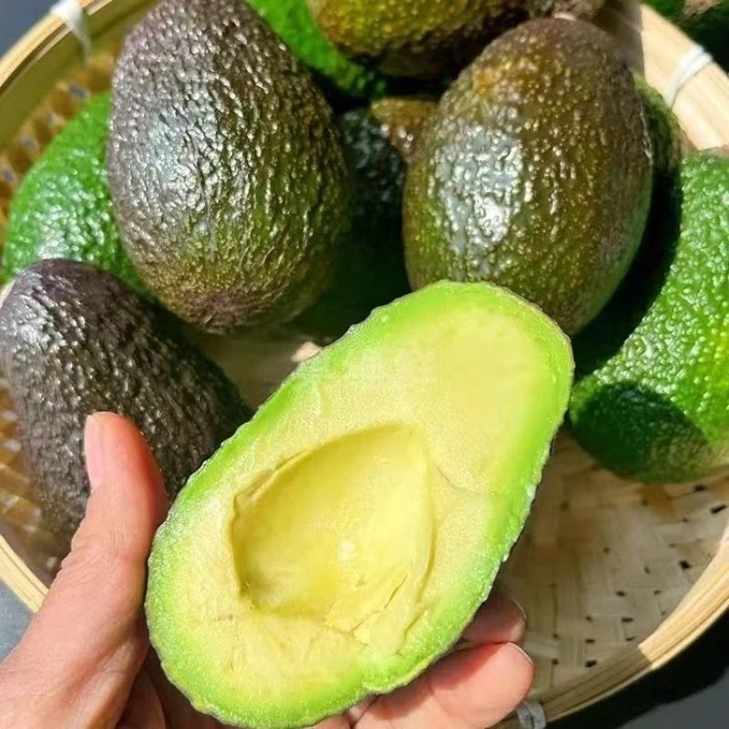 （海州区小时达29免配送费）【云南国产】当季新鲜牛油果熟透流油-（2个装）