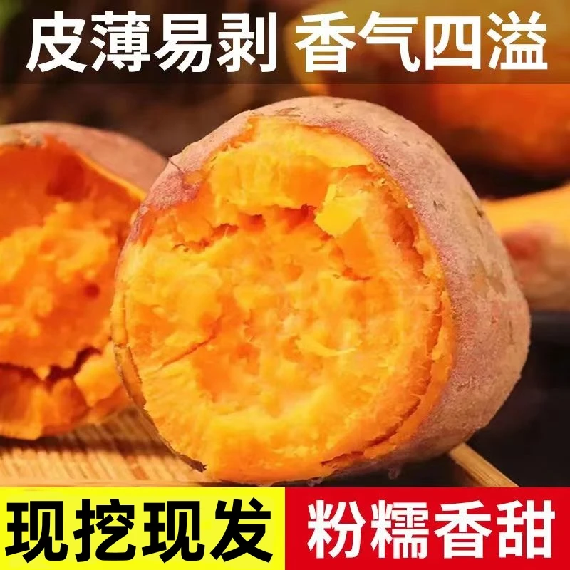 沙地正宗蜜薯黄心板栗薯番薯地瓜红芋装软糯香甜红苕红薯好吃蜜薯