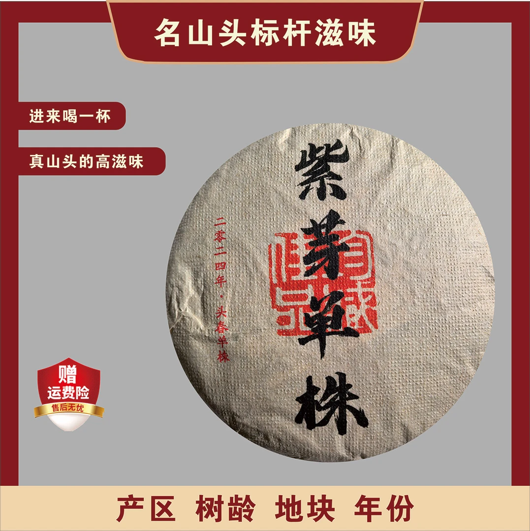 【稀缺货】23年昔归野生古树普洱茶紫芽单株200克(高香高甜高回甘)