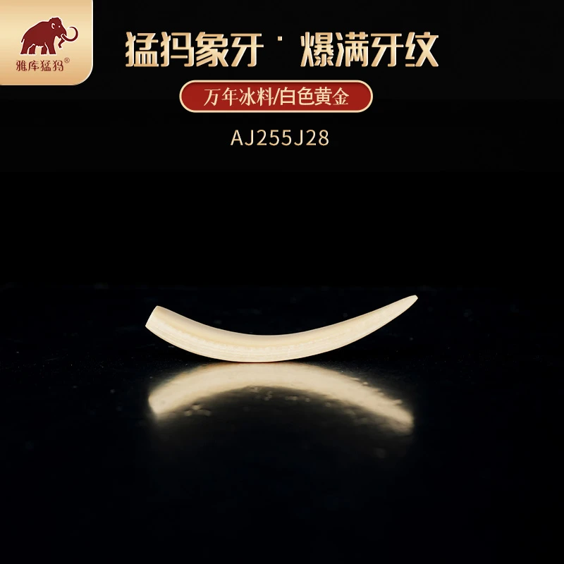 AJ255猛犸牙雕刻牌/肥皂/手把件/手串/牙饼 蓝皮牙尖
