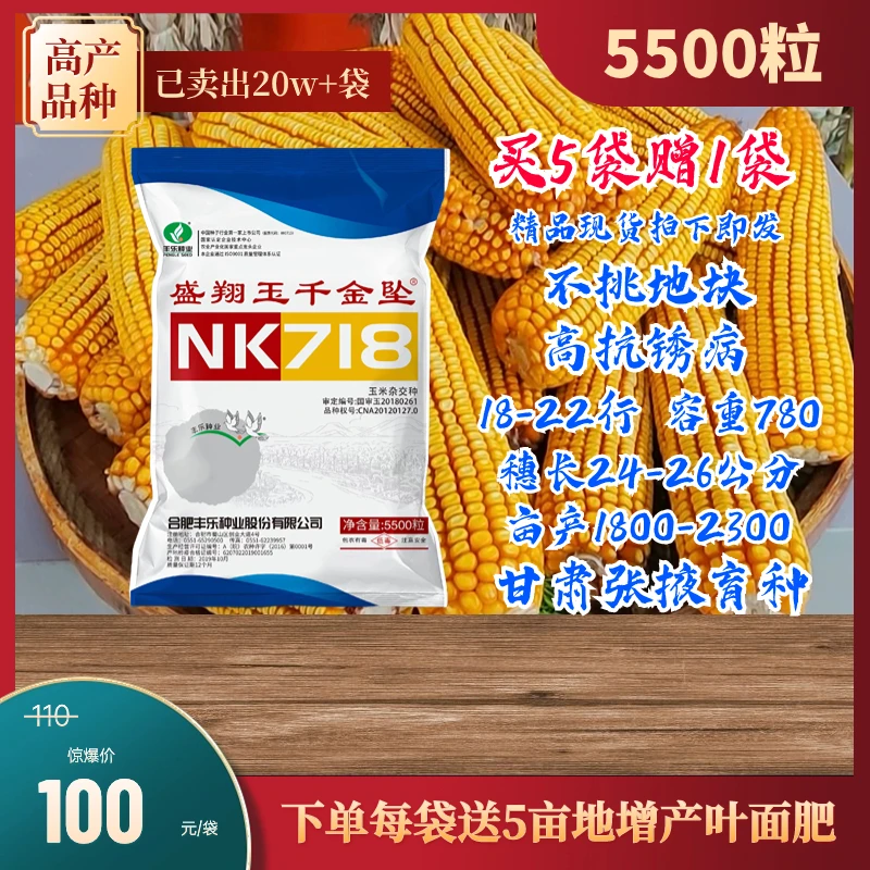 A盛翔玉千斤坠718高抗锈病版抗旱耐涝不挑地块品种下单赠送叶面肥