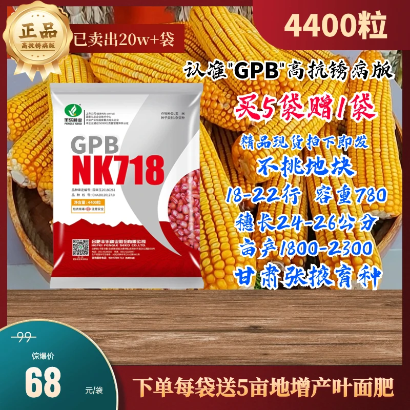 肇8丰乐GPB718高抗锈病版4400粒抗旱耐涝不挑地块下单赠送叶面肥