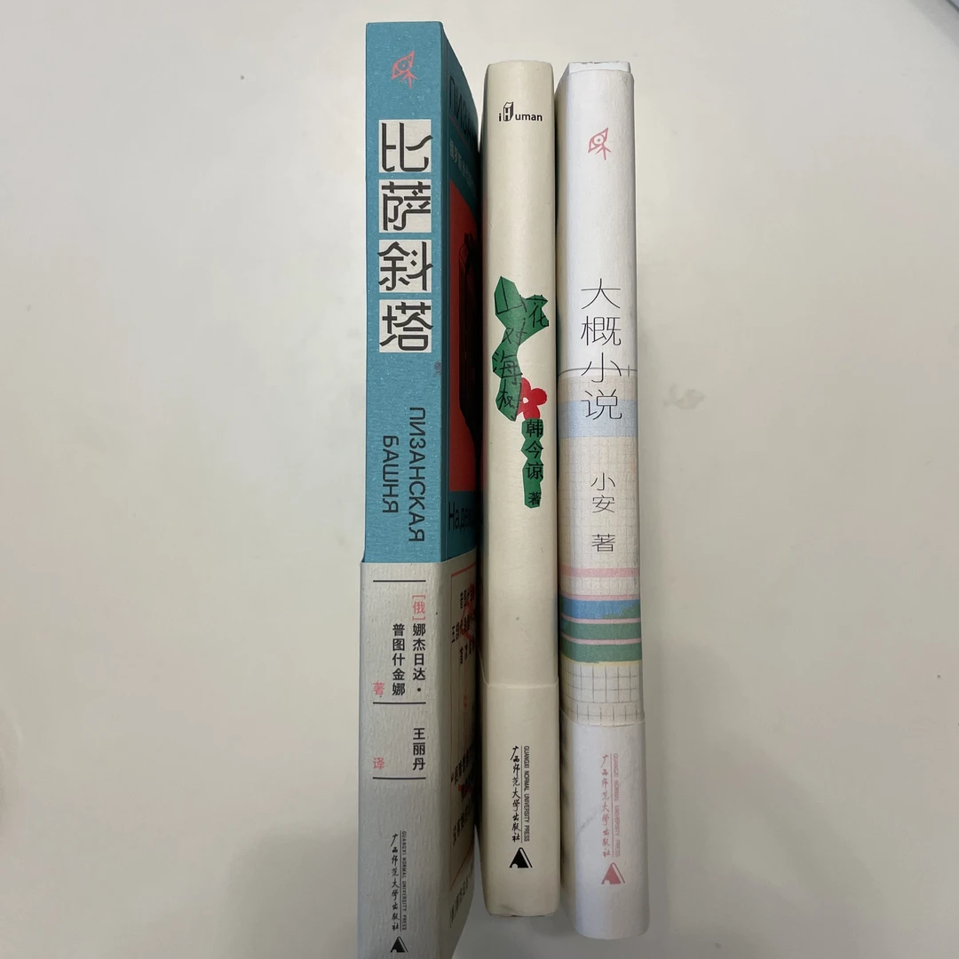 【女作家书系】《比萨斜塔》+《山花对海树》+《大概小说》