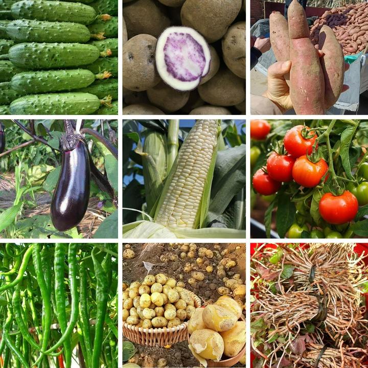 【爱莲】代收农家特产山货