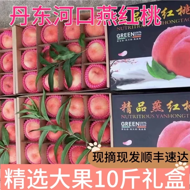 众诚溯源丨丹东燕红桃｛顺丰京东｝丹东宽甸艳红桃精品现摘大果礼盒