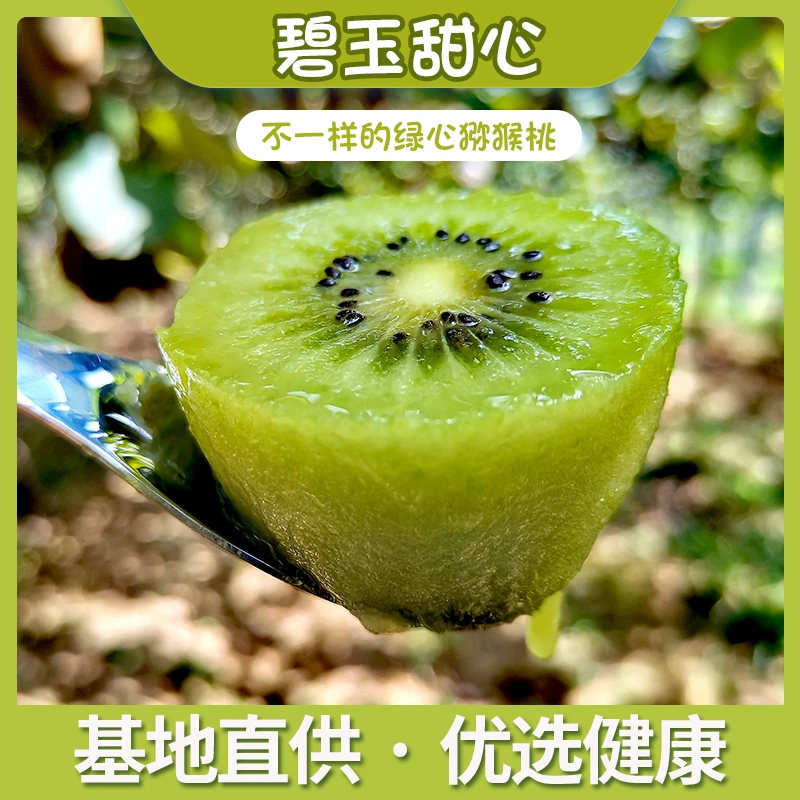 【基地直供·优选健康】泰山一号碧玉绿心猕猴桃