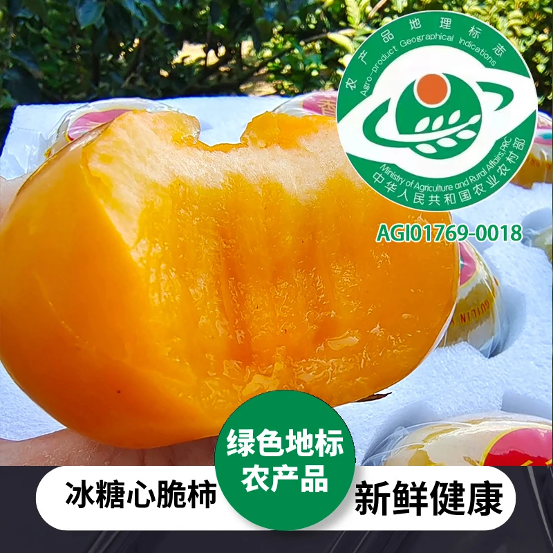【冰糖心脆柿子】新鲜水果上市巧克力脆甜柿原产地直发整箱