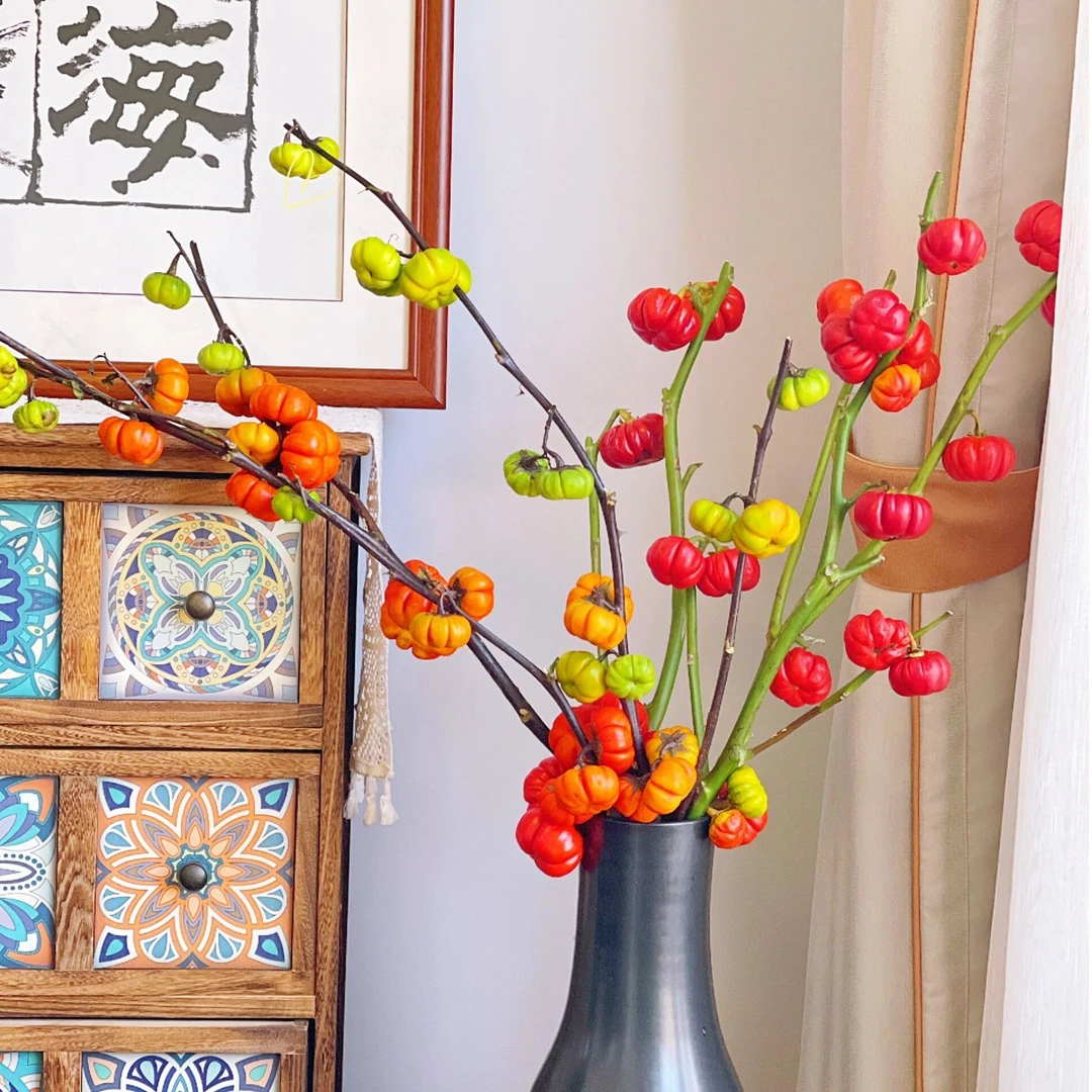 云南鲜花观赏期超长家用的小南瓜文艺花花期长可做干花批发团购