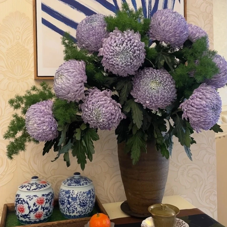 云南鲜花吸染色牡丹菊插花水养长花期好养护家用花店社区批发团购