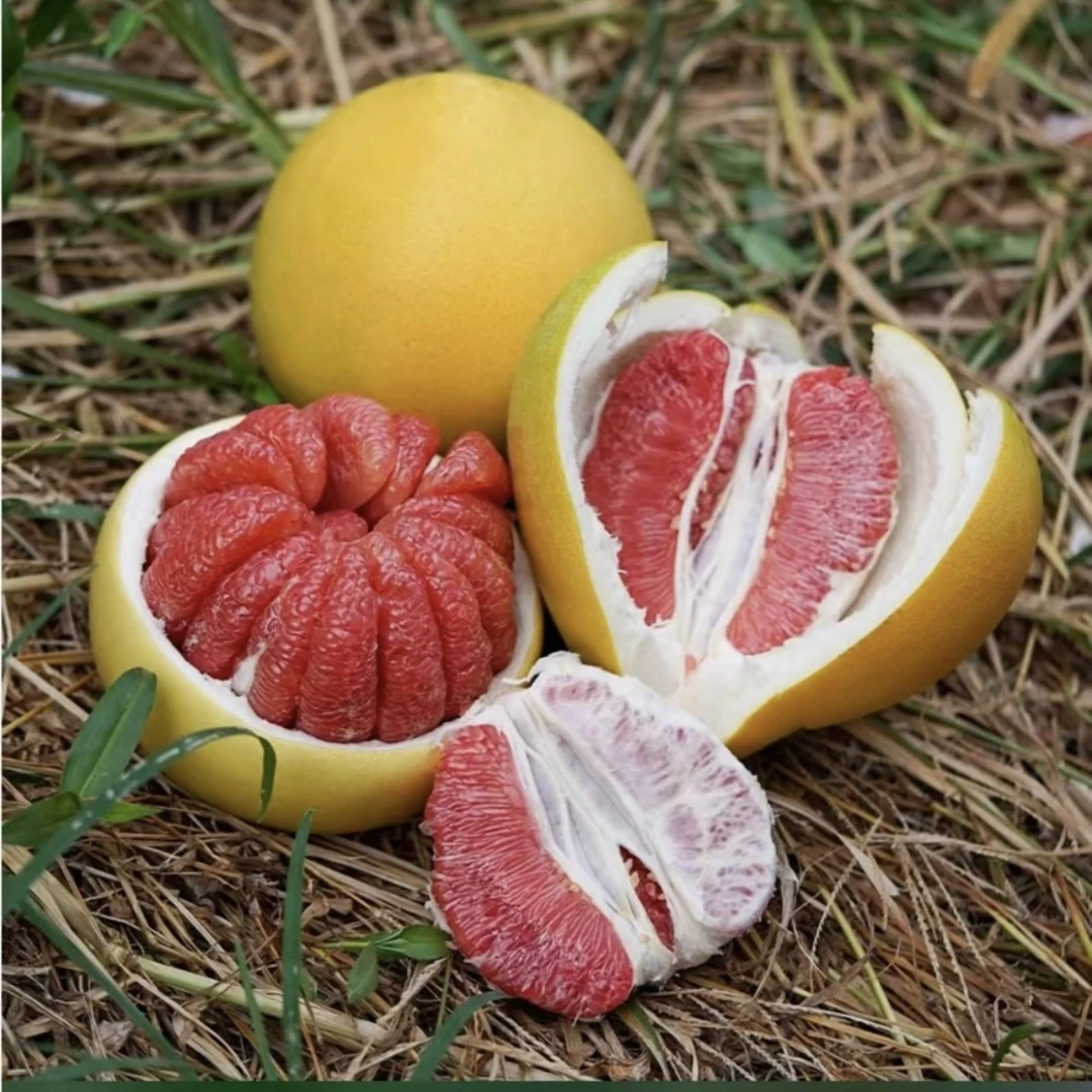 三红柚子现摘香甜爆汁正宗蜜柚箱5-6斤