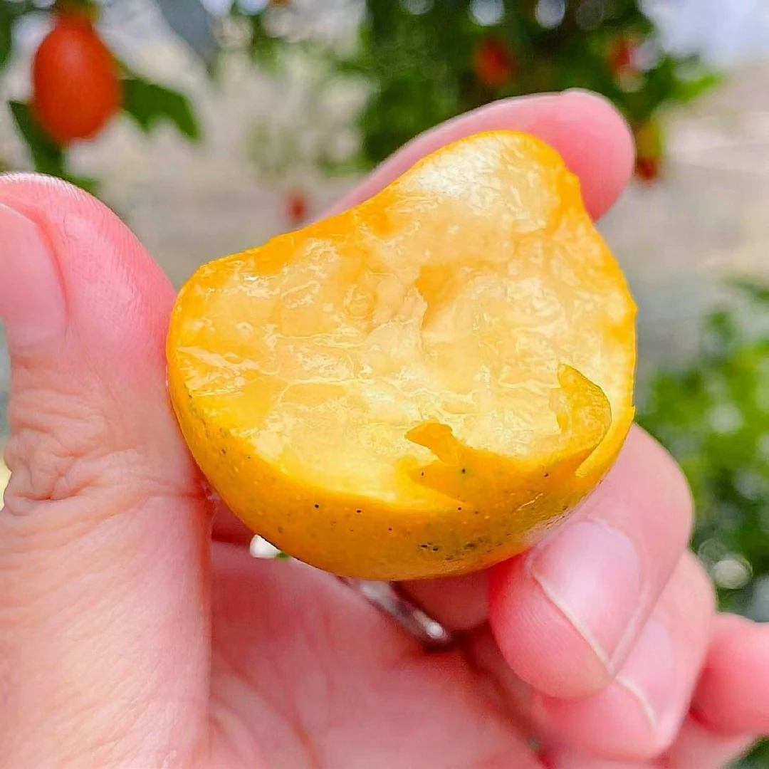 颐和花果山【脆蜜金柑礼盒】当季无核皮薄多汁甄选金柑脆皮新鲜水果