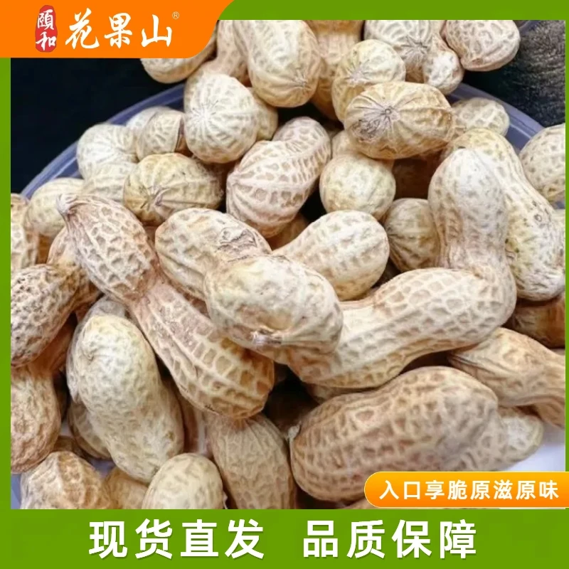 核桃味花生 甄选山核桃剥壳闻香入口享脆脱油带壳熟花生原滋原味