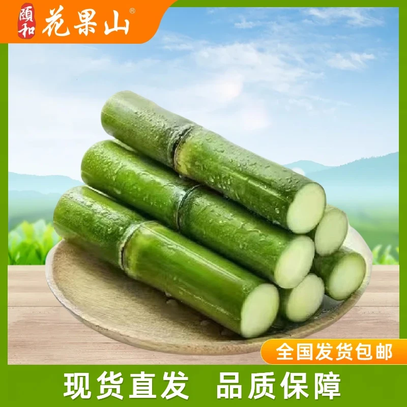【陶山甘蔗】脆甜多汁当季现砍现发新鲜水果绿皮青皮果蔗全国发货