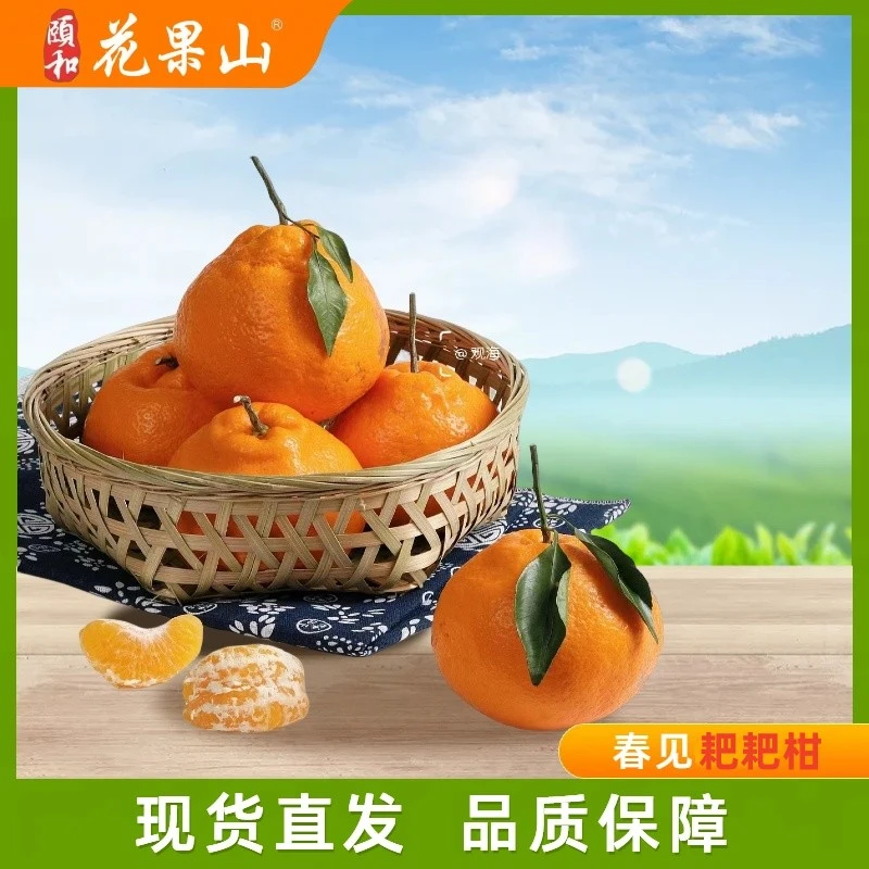 【鑫源果业春见耙耙柑礼盒】  皮薄肉厚优质果新鲜采摘新鲜发货成熟