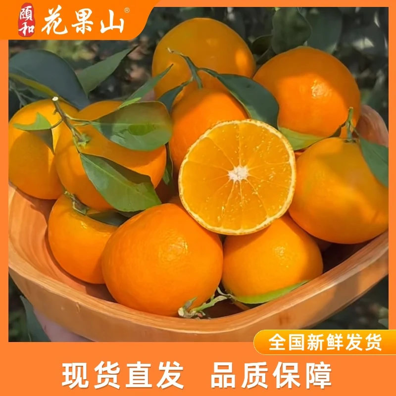 颐和花果山【爱媛果冻橙手提盒】新鲜食用下单直发现摘现发手拨橙